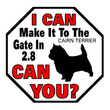 Cairn Terrier 2.8 Sign