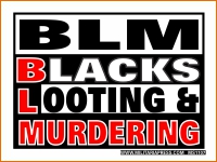 BLM - Blacks Looting and Murdering