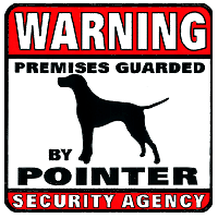 Pointer Security Agency