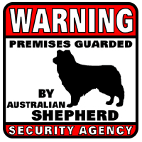 Australian Shepherd  Security Agency