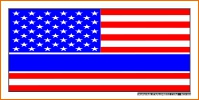 United States Flag with Blue Line