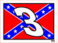Rebel Flag With #3