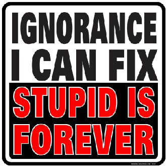 Ignorance I Can Fix - Stupid Is Forever